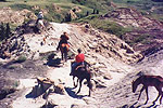 Central Alberta Recreation